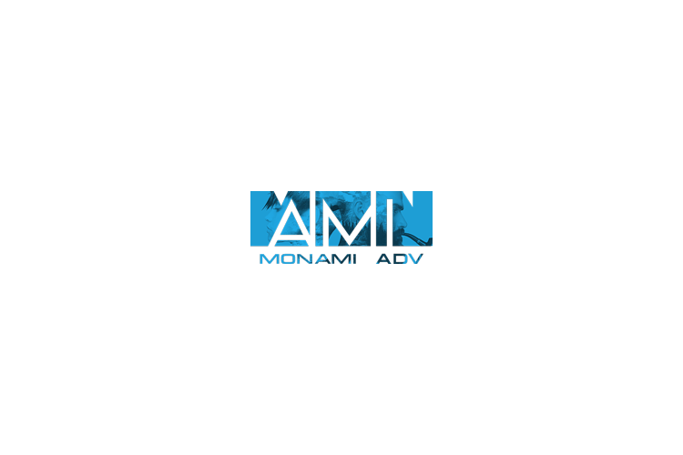 MONAMI ADV LLC